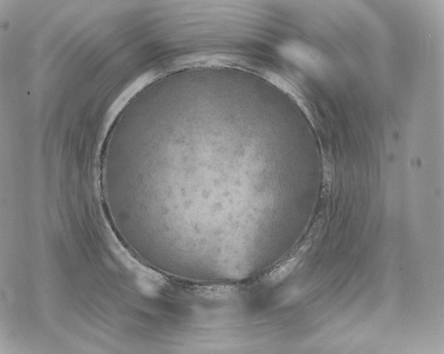 X0000076301090200609291029