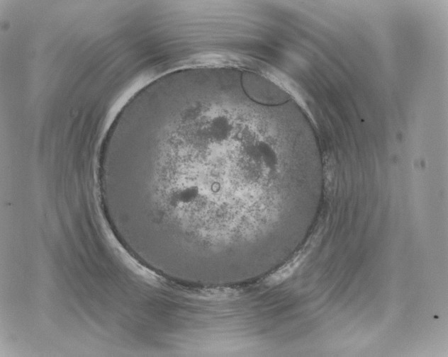 X0000076301091200609291029