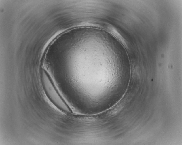 X0000076301092200609291029