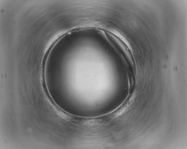 X0000076301093200609291029