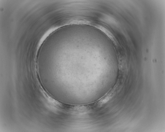 X0000076301094200609291029