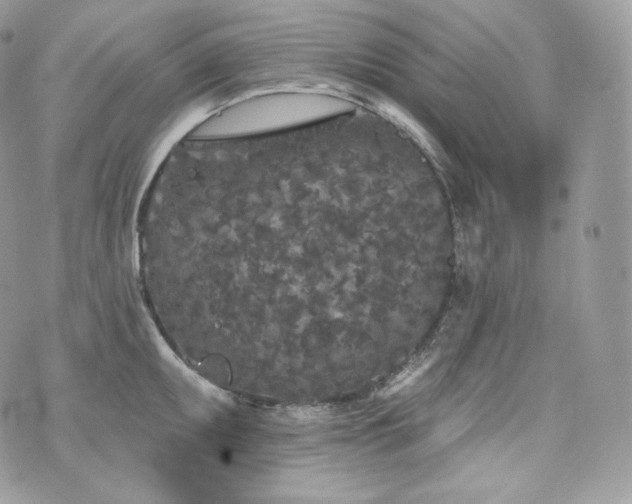 X0000076301095200609291029