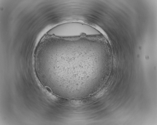 X0000076301096200609291029