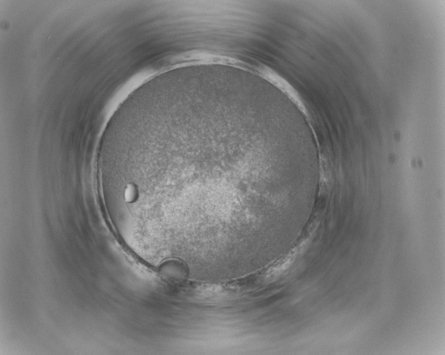 X0000076301098200609291029