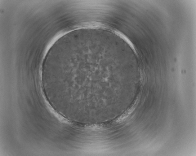 X0000076301099200609291029