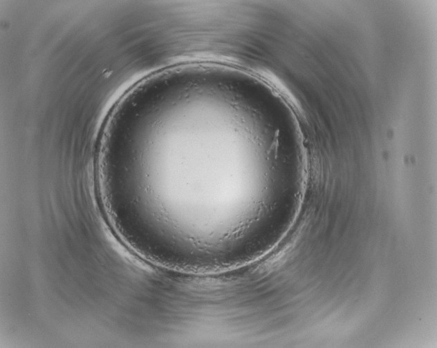 X0000076301100200609291029