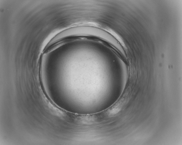 X0000076301102200609291029