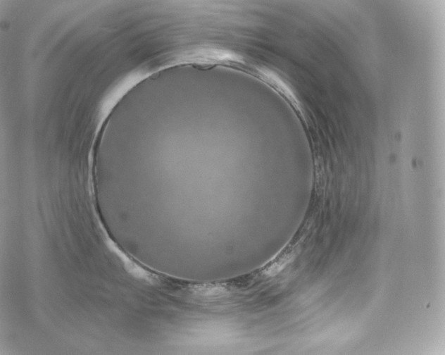 X0000076301103200609291029