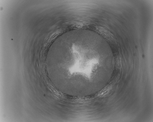 X0000076301105200609291028