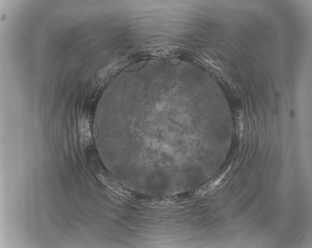 X0000076301106200609291028