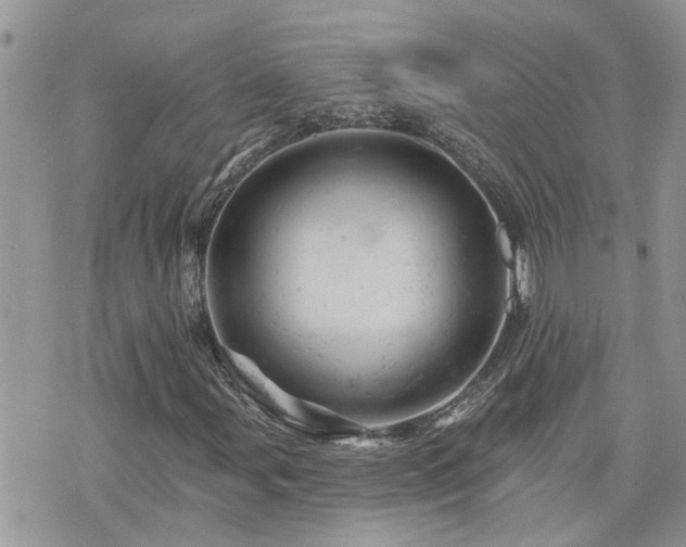 X0000076301107200609291028