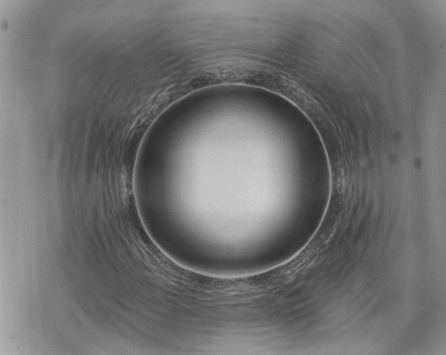 X0000076301108200609291028