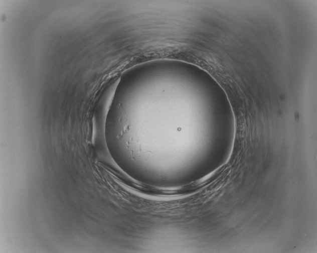 X0000076301109200609291028