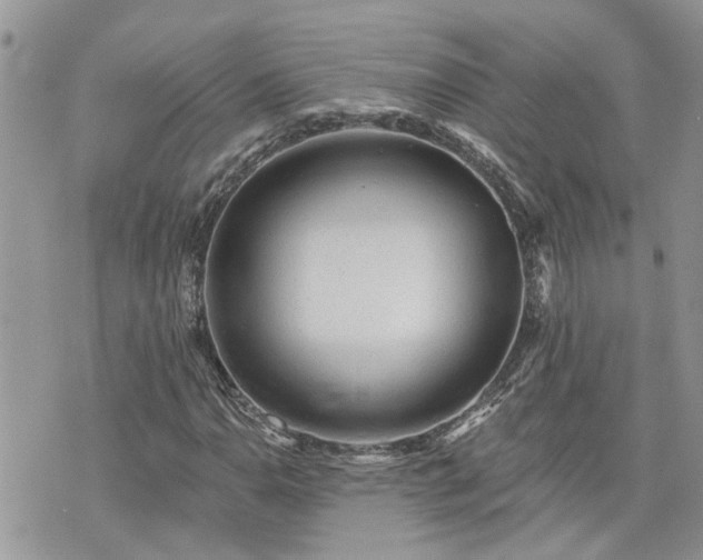 X0000076301110200609291028