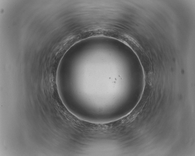 X0000076301111200609291028