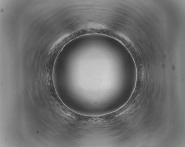 X0000076301112200609291028