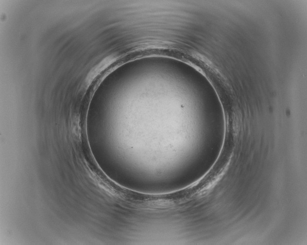 X0000076301113200609291028