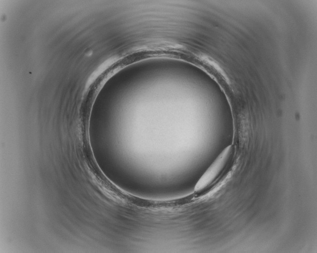 X0000076301114200609291028