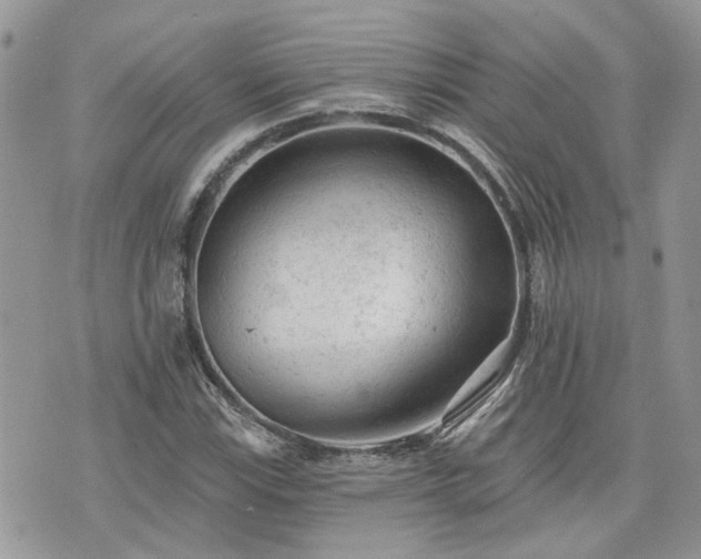 X0000076301115200609291029