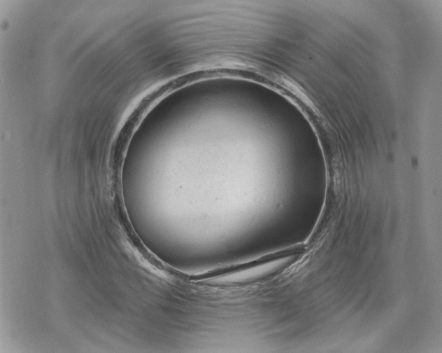 X0000076301116200609291029