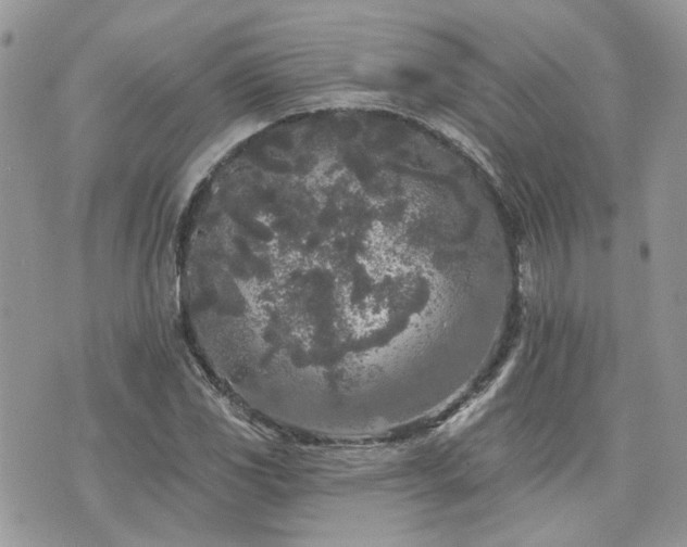 X0000076301117200609291029