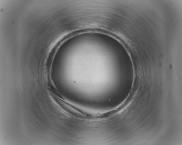 X0000076301118200609291029