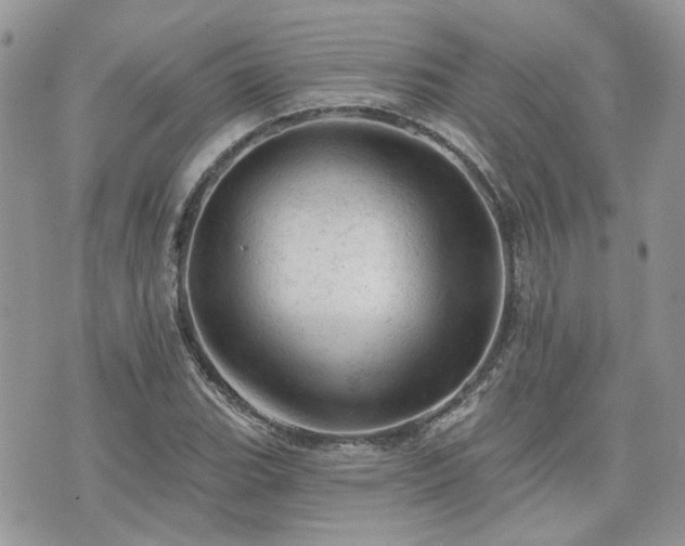 X0000076301119200609291029