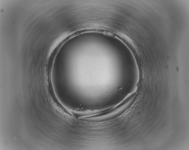 X0000076301120200609291029