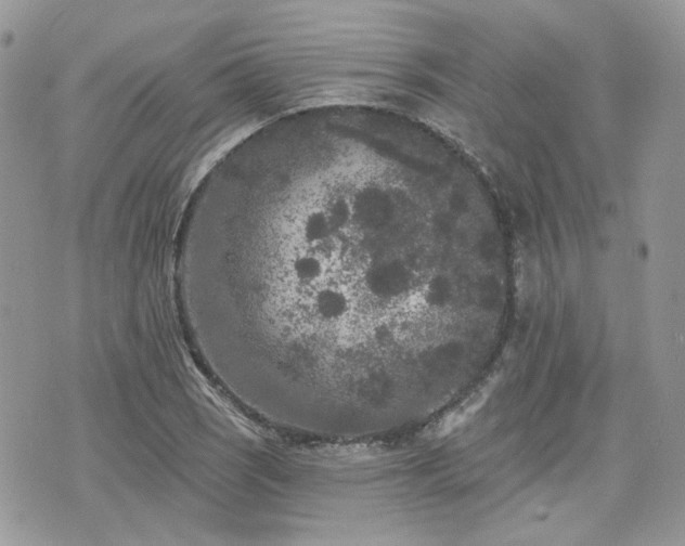 X0000076301121200609291029