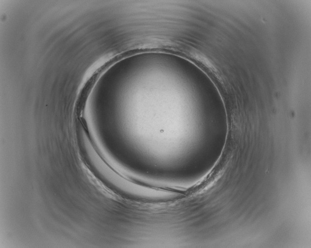 X0000076301122200609291029