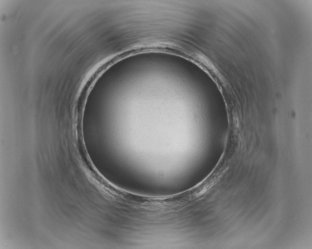 X0000076301124200609291029