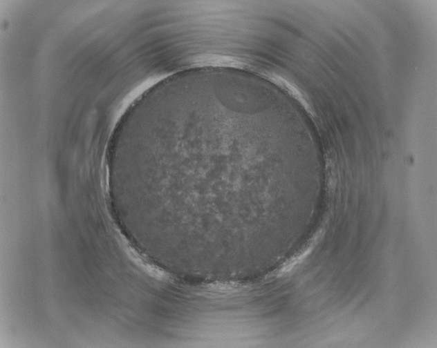 X0000076301125200609291029