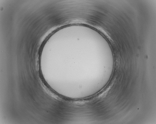 X0000076301126200609291029