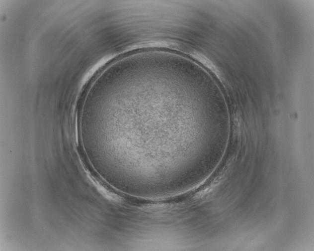 X0000076301127200609291029