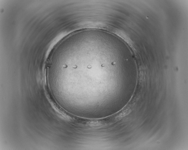 X0000076301128200609291029