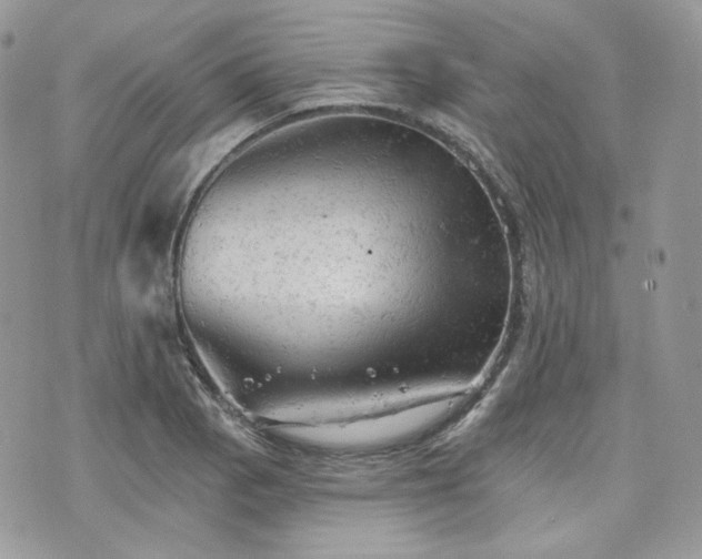 X0000076301129200609291029