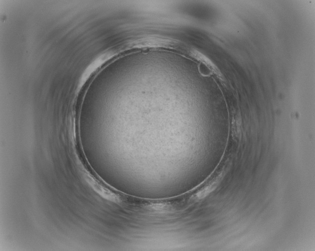 X0000076301130200609291029