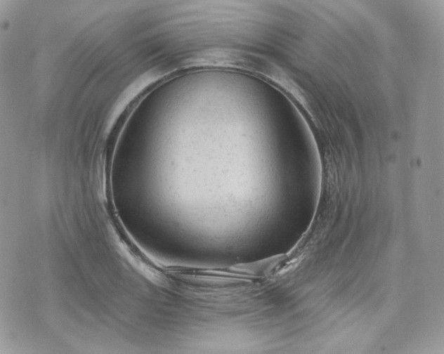 X0000076301131200609291029