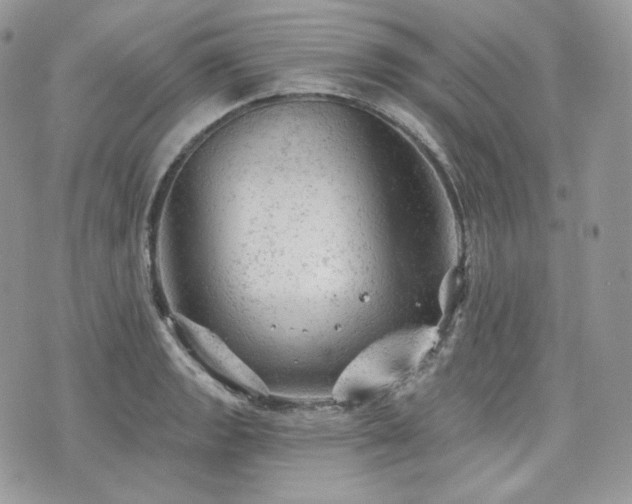 X0000076301133200609291029