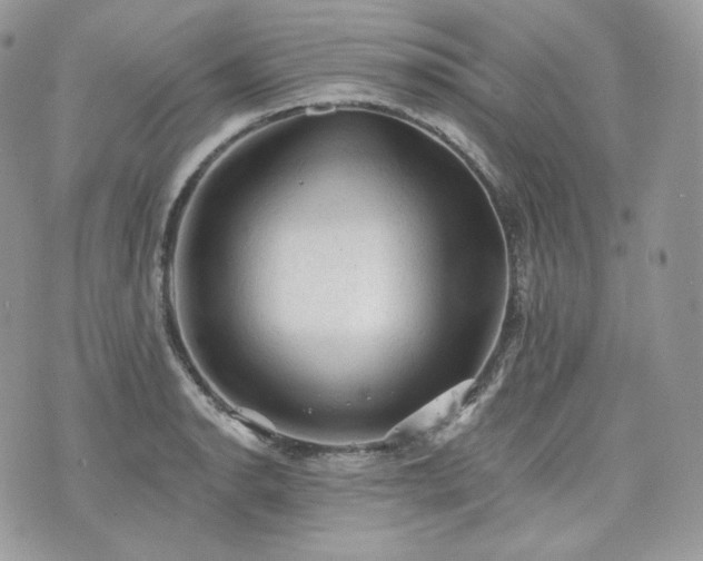 X0000076301134200609291029