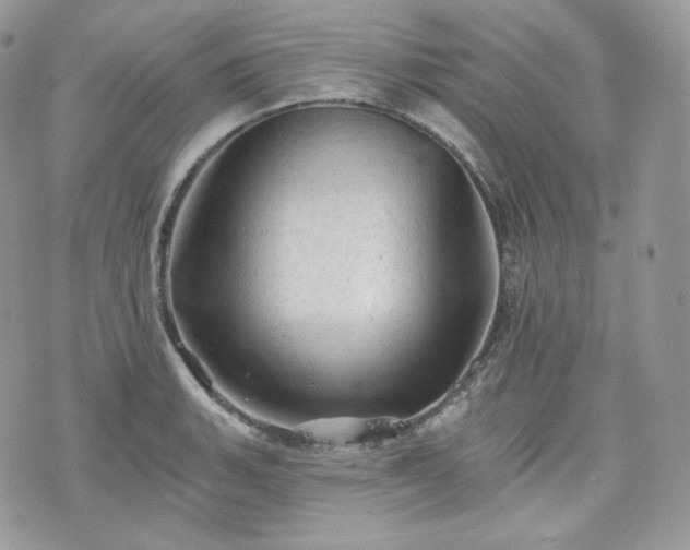 X0000076301135200609291029