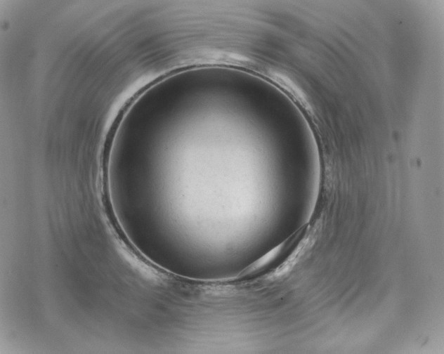 X0000076301136200609291029