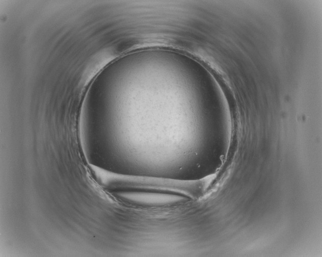 X0000076301137200609291029