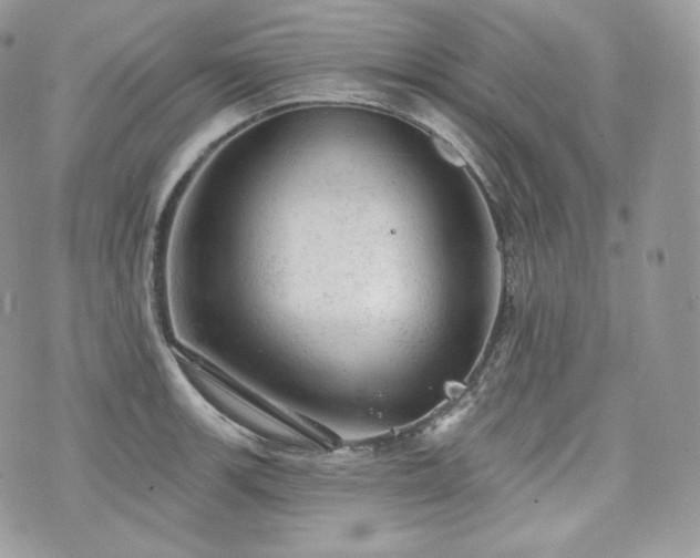 X0000076301139200609291029