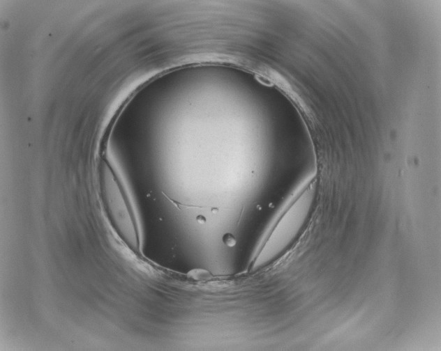 X0000076301140200609291029