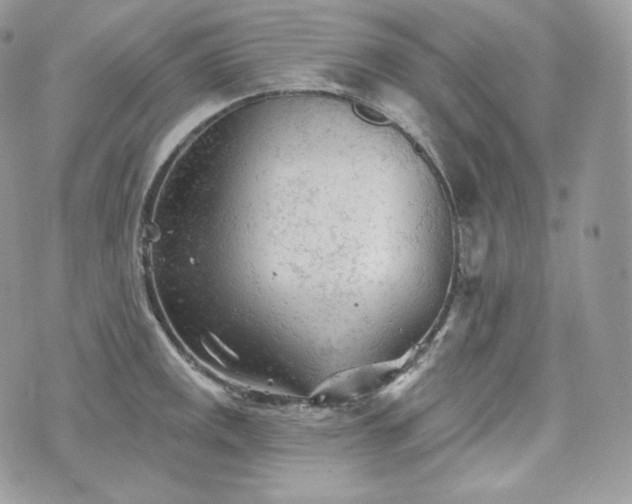 X0000076301141200609291029