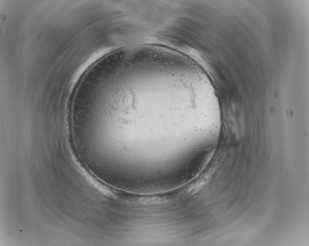 X0000076301142200609291029