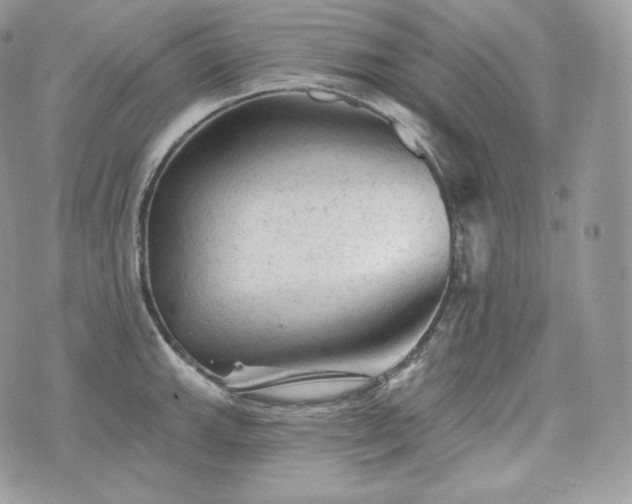 X0000076301143200609291029