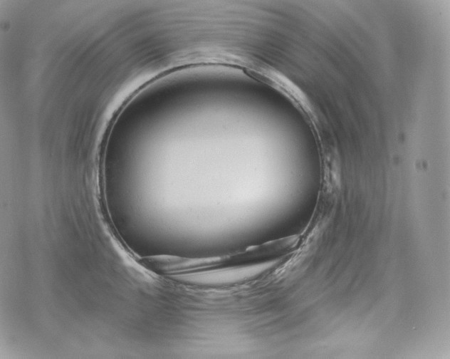 X0000076301144200609291029