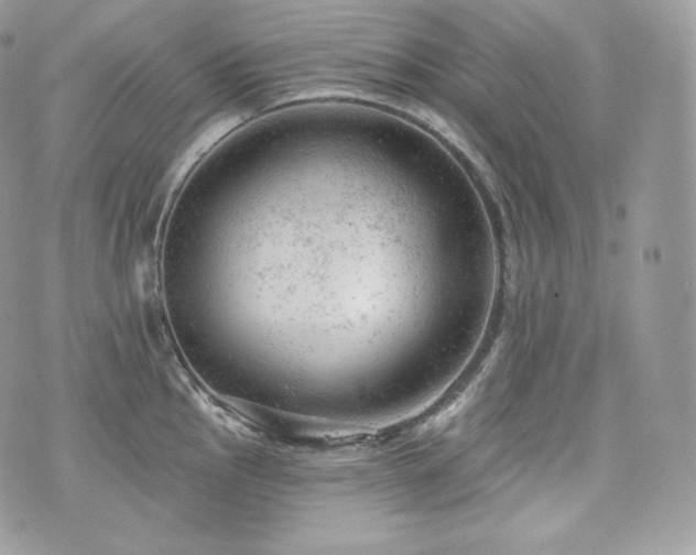 X0000076301145200609291029